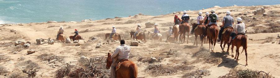 Los Encantos East Cape Horseback Ride 7