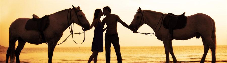 Los Encantos East Cape Horseback Ride 8