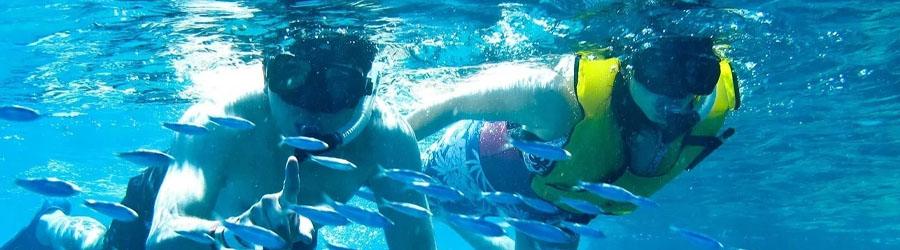 Lovers Beach Snorkeling Tour 8