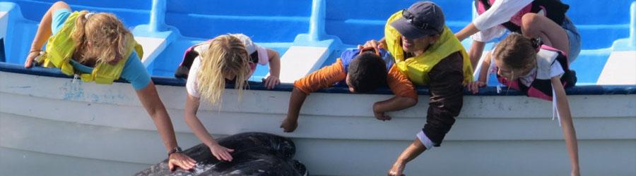 Magdalena Bay Whale Watching Experience 6