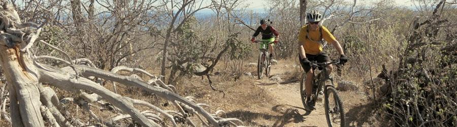 Cabo Mountain Biking Adventure 3