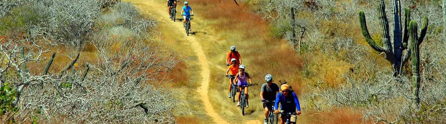 Cabo Mountain Biking Adventure 5