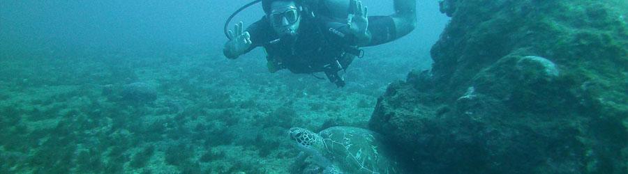 PADI Advanced Courses 8