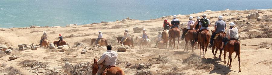 Pacific Beach Ranch Ride 2