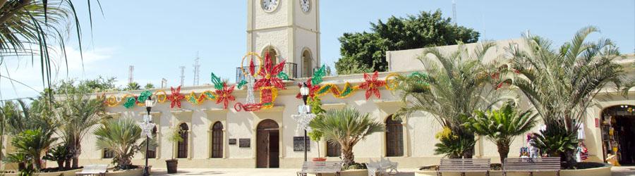 Baja Photo and Sightseeing Adventure 6