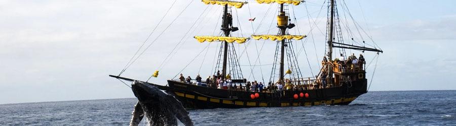 Cabo Pirate Ship Breakfast & Snorkeling Adventure 1