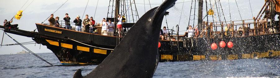 Buccaneer Pirate Ship at Sunset 3
