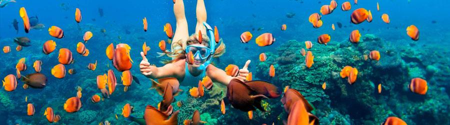 Private Custom Sea of Cortez Beach Hopping 2