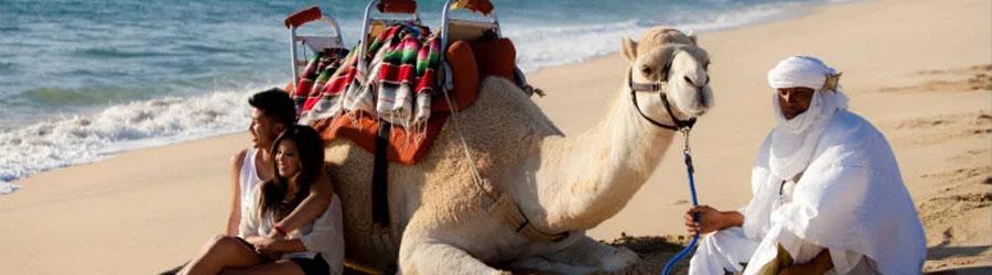 Private Sunset Dinner 4