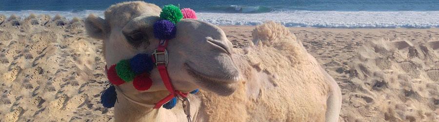 Private Sunset Dinner 5