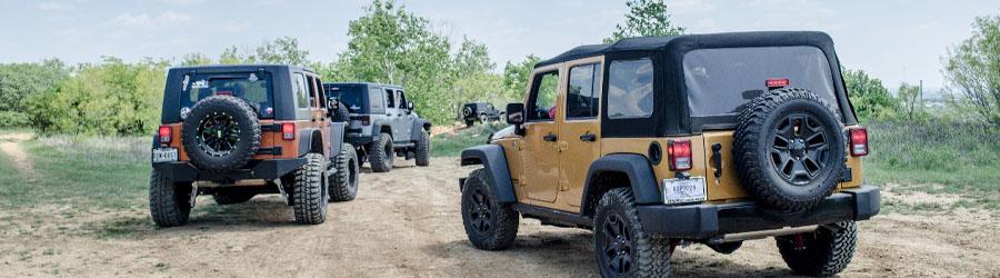 Cabo Pulmo Jeep Tour 2