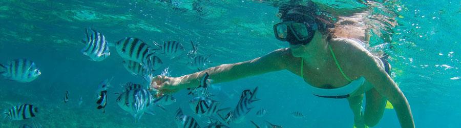 Cabo Pulmo Jeep Tour 3