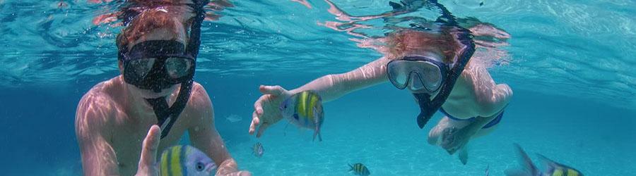 Cabo Pulmo Jeep Tour 4