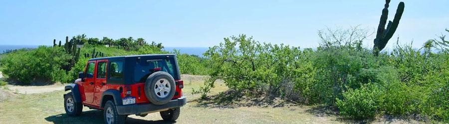 Cabo Pulmo Jeep Tour 5