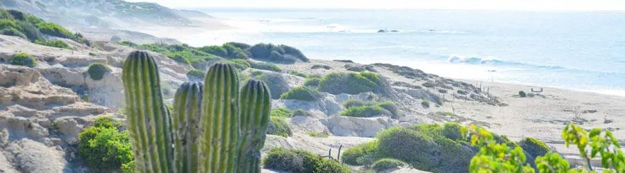 Cabo Pulmo Jeep Tour 6