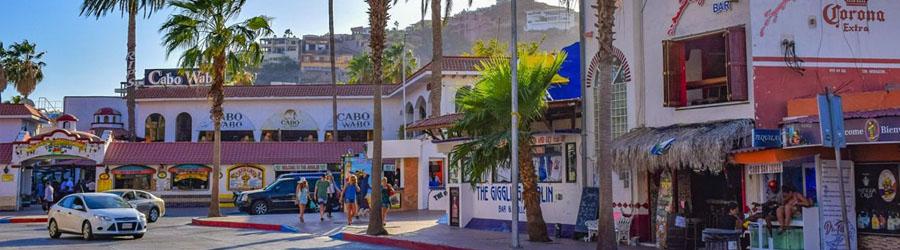 Private Baja Sightseeing Express - Cabo San Lucas 5