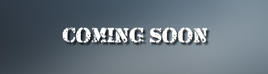 Private Cabo Sightseeing 2