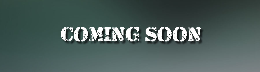 Private Cabo Sightseeing 7