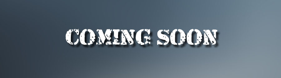 Private Cabo Sightseeing 8