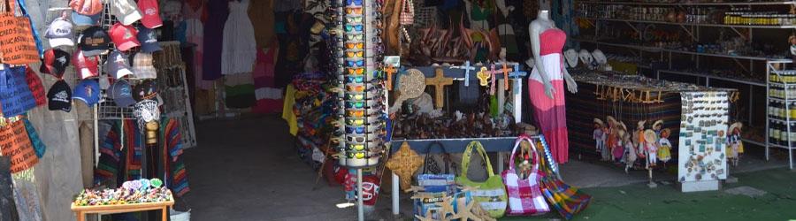 Private Los Cabos Shore Excursion 5