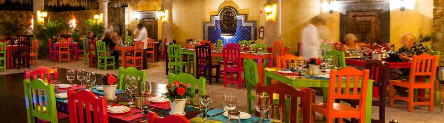 Private Baja San Jose del Cabo Sightseeing Adventure 2