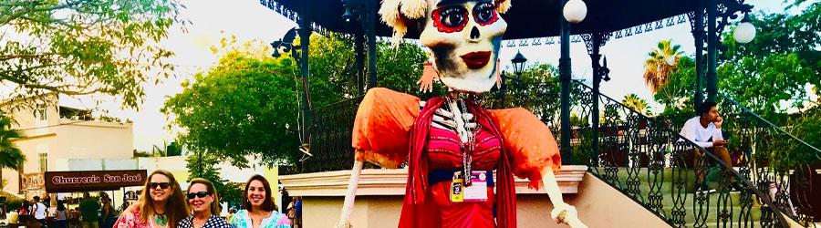 Private Baja San Jose del Cabo Sightseeing Adventure 5