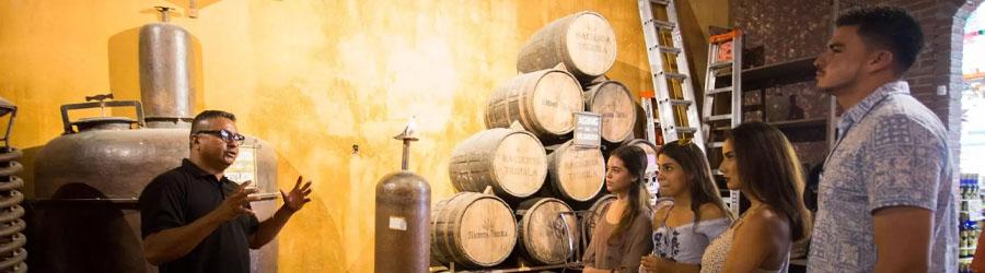 Private Baja San Jose del Cabo Sightseeing Adventure 6