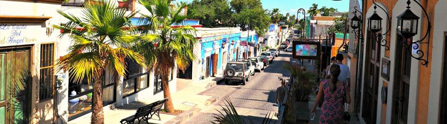 Private Baja San Jose del Cabo Sightseeing Adventure 7
