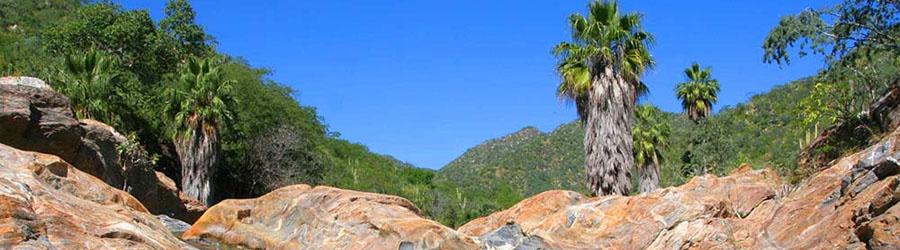 Private East Cape Todos Santos Magic Town by Jeep 1