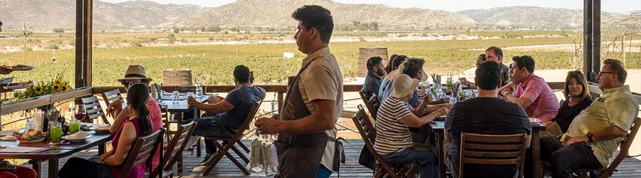 Private East Cape Todos Santos Magic Town by Jeep 2