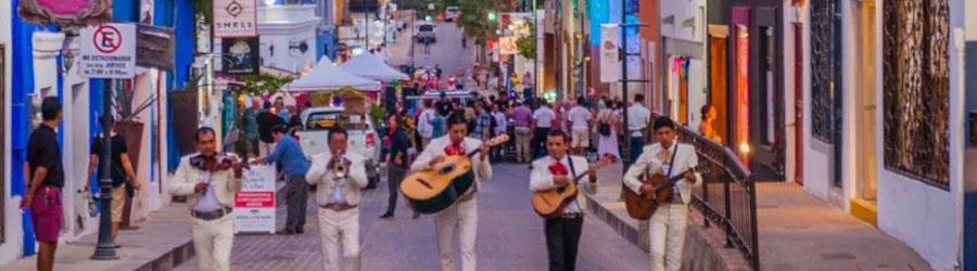 Private East Cape Todos Santos Magic Town by Jeep 3