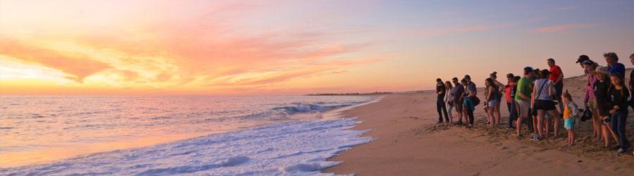 Private East Cape Todos Santos Magic Town by Jeep 4