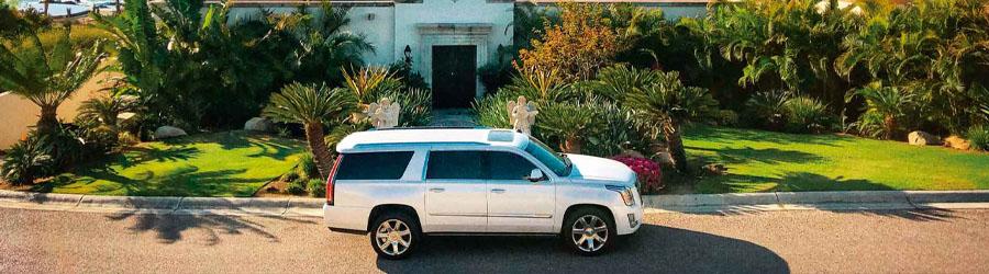 Baja Private Custom Excursion in Los Cabos 5