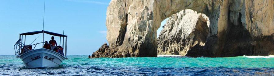 Private Whales Express 4