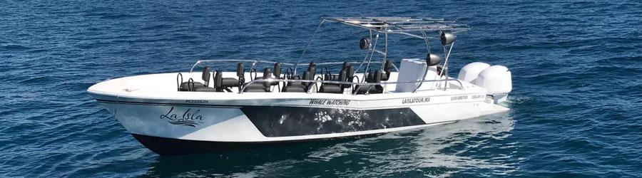 Private Whale Watching 1