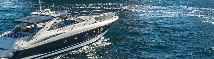 Private Whale Watching 6