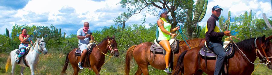 Baja Polaris RZR & Horseback Riding Tour 2