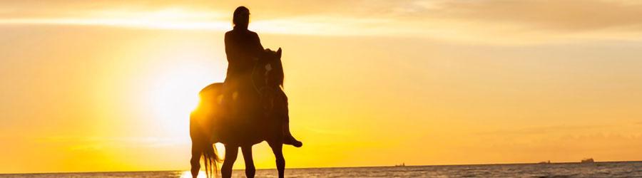 Sundown Baja Polaris RZR & Horseback Riding Tour 3