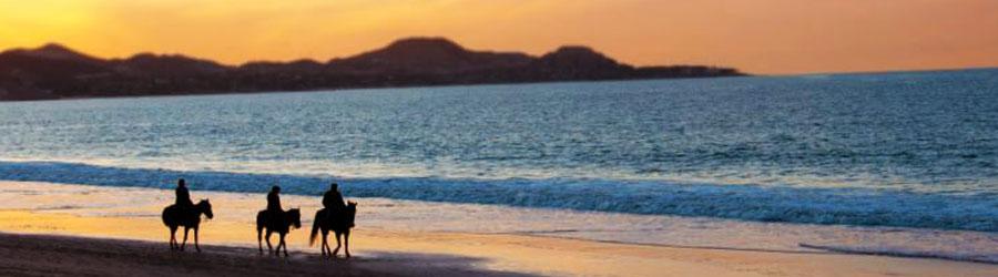 Sundown Baja Polaris RZR & Horseback Riding Tour 8