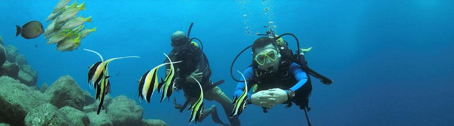 Discover Scuba Diving 4