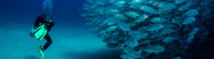 Discover Scuba Diving 5