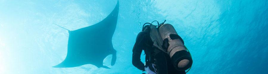 Discover Scuba Diving 8