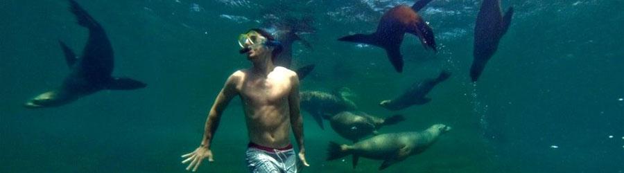 Cabo Santa Maria Bay Sailing Catamaran Tour 1