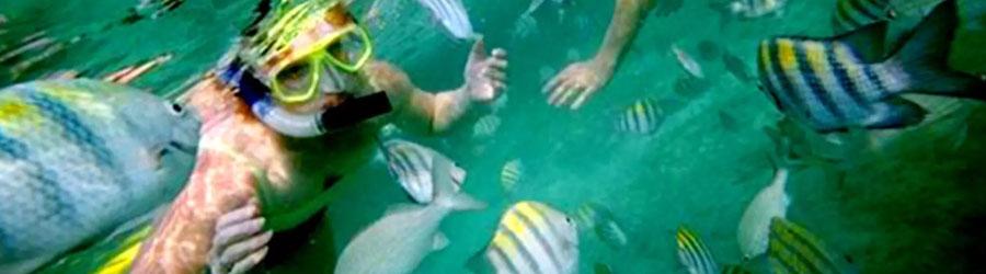 Cabo Santa Maria Bay Sailing Catamaran Tour 4