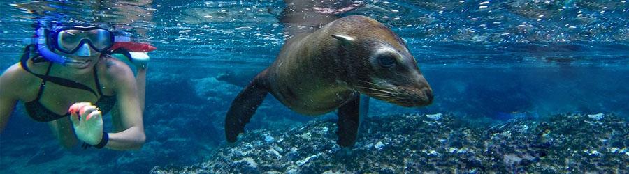 Cabo Santa Maria Bay Sailing Catamaran Tour 5