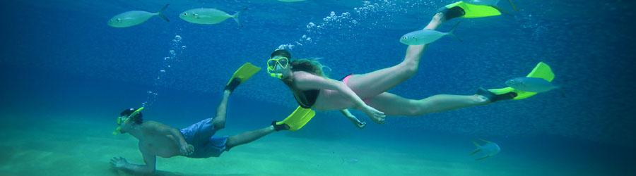 Cabo Santa Maria Bay Sailing Catamaran Tour 7