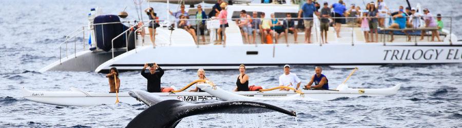 Cabo Sailing & Whales Catamaran Cruise 6