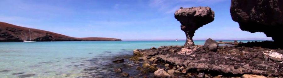 La Paz Baja California Catamaran Snorkeling Tour 1