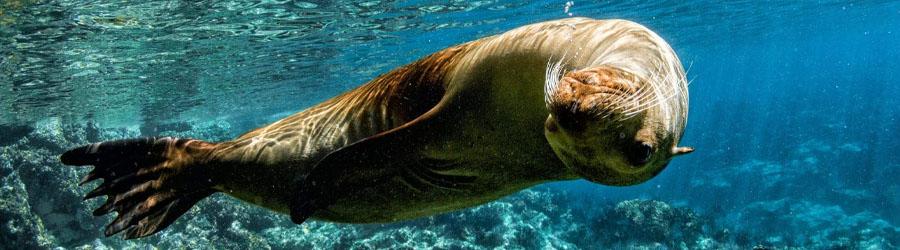 La Paz Baja California Catamaran Snorkeling Tour 6