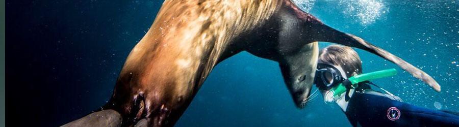 La Paz Baja California Catamaran Snorkeling Tour 7
